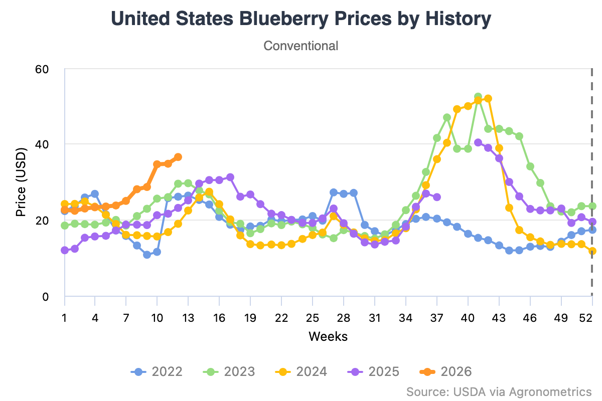 Mercado de arándanos en Estados Unidos registró importaciones récord en 2025 7 Mercado de arándanos en Estados Unidos registró importaciones récord en 2025