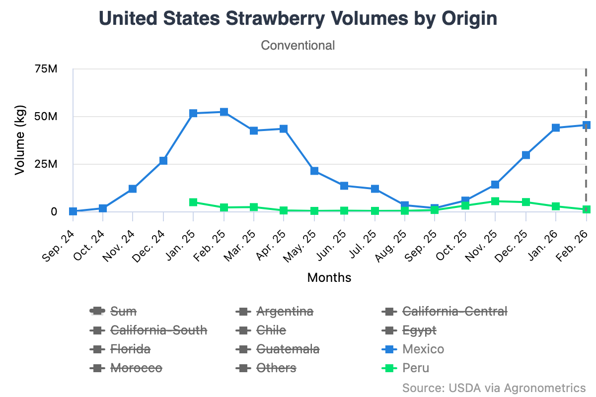 El auge de las berries en México continúa mientras la producción se proyecta al alza en 2026