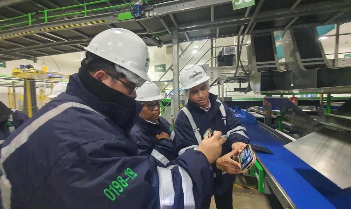 Japón autoriza exportación de palta Hass peruana para la campaña 2026