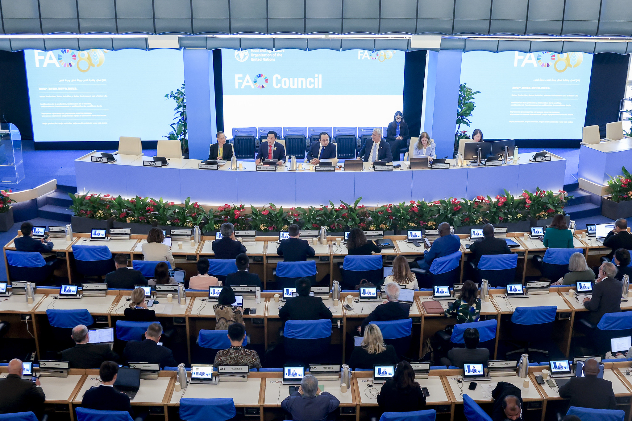 FAO pide acción urgente ante crisis en Ormuz que afecta insumos clave para el agro