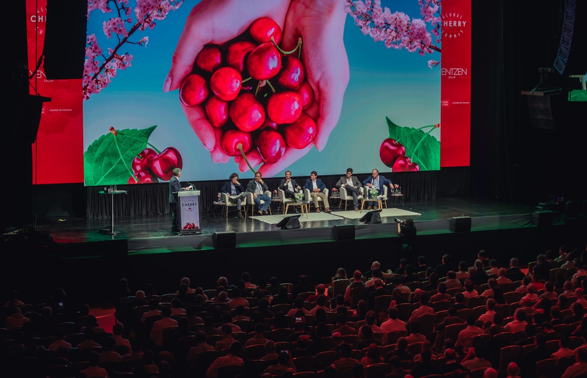 Global Cherry Summit 2026: en búsqueda de la nueva hoja de ruta del sector 3 Global Cherry Summit 2026: en búsqueda de la nueva hoja de ruta del sector