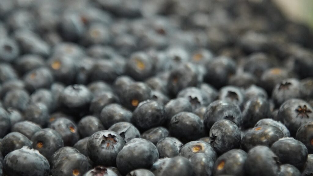 Exportación de frutas colombianas superará los US$2.400 millones para 2026