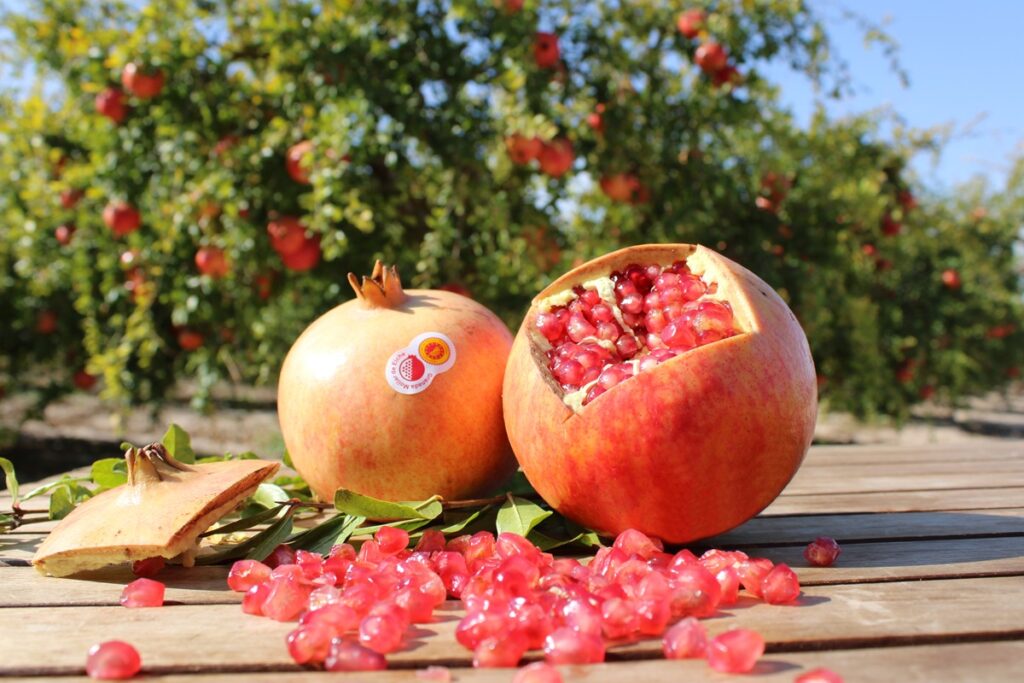 Granada Mollar de Elche: “Competimos en valor, no en volumen”, afirma presidente de la Denominación de Origen Protegida