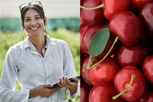 En el agro de hoy una mala contratación se paga caro