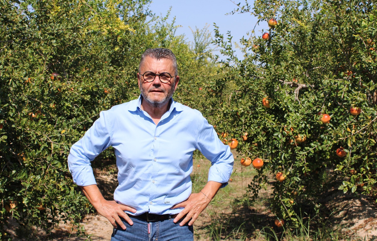 Granada Mollar de Elche: “Competimos en valor, no en volumen”, afirma presidente de la DOP