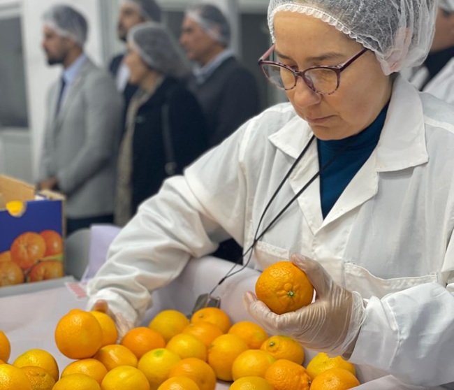 FOTO2 SAG y Frutas de Chile dan inicio en Coquimbo a la temporada de exportaciones de ciitricos a Estados Unidos