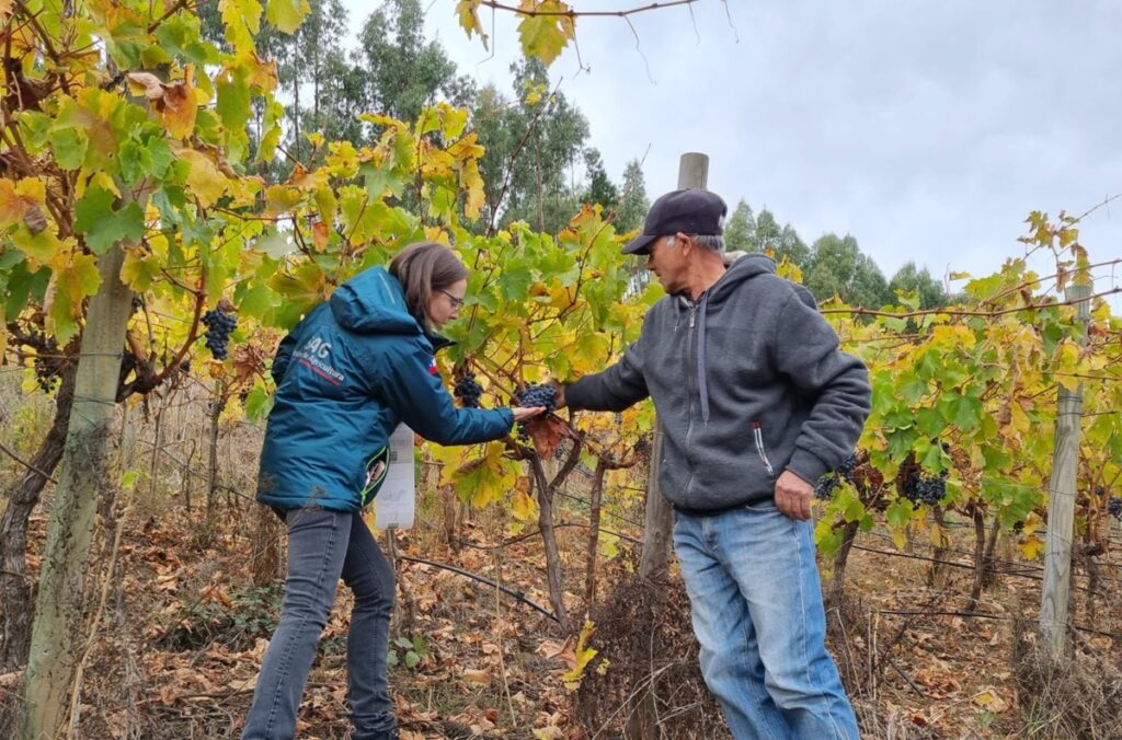 Unión Europea confirma vigencia indefinida del acuerdo de productos orgánicos con Chile