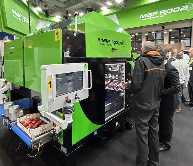 Robots en la confección de fruta de hueso: la automatización que ya marca la competitividad en postcosecha