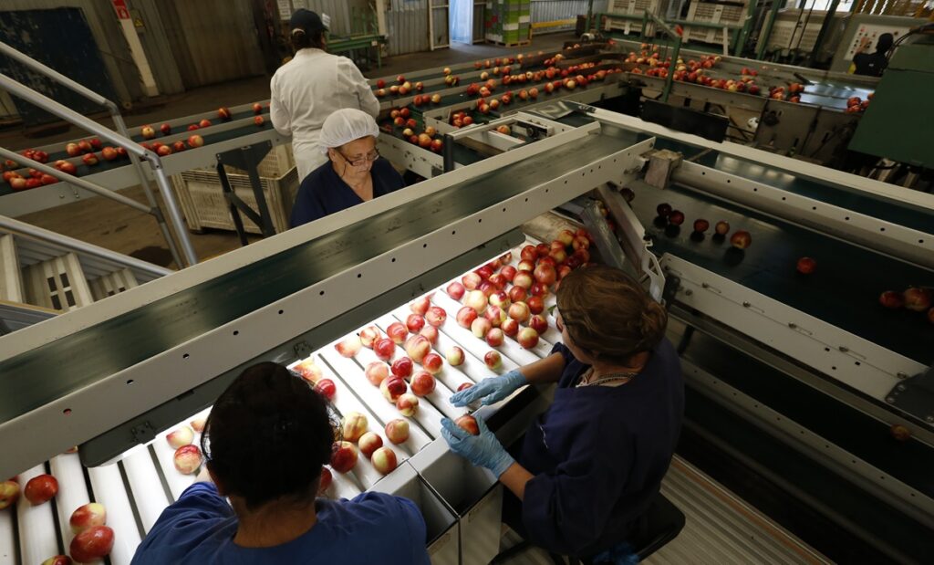 Chile será el primer país del mundo con certificación fitosanitaria 100% digital con China