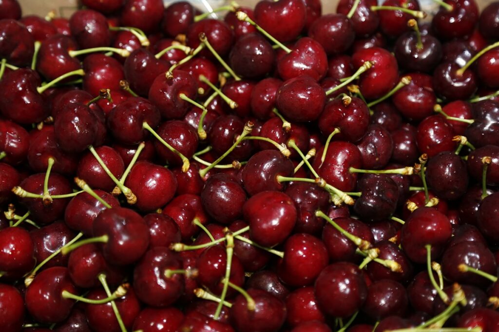 Anomalías climáticas y problemas de calidad anticipan el fin de la temporada de cerezas de California