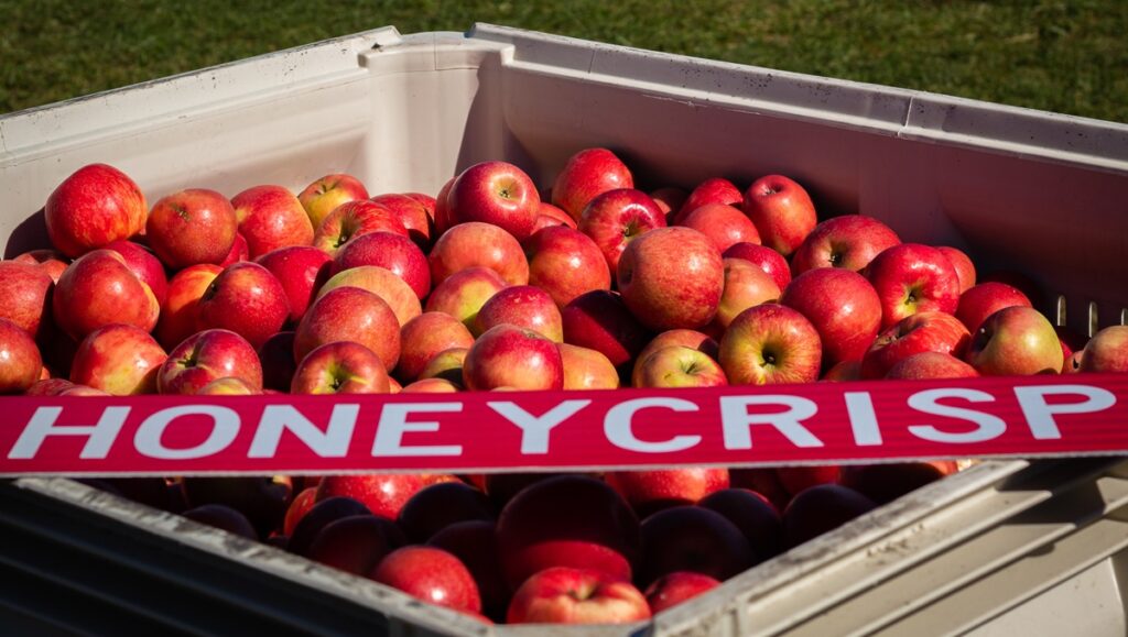 Manzana Honeycrisp: ¿Por qué sus precios siguen subiendo?