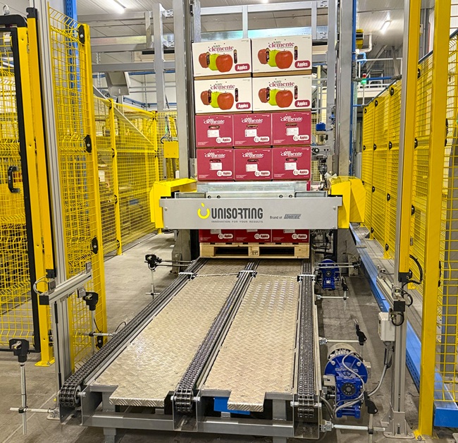 Proyecto de US$25 millones introduce automatización inédita en América en la fruticultura chilena