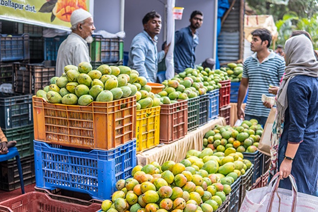 India a un paso de ingresar al mercado canadiense con sus mangos, granadas y naranjas