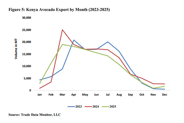 El auge de la palta en Kenia: industria alcanzará una producción récord en medio de desafíos logísticos y regulatorios