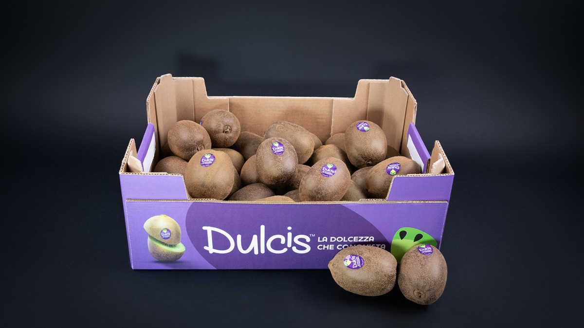 El kiwi verde premium Dulcis™ cierra 2025/2026 con resultados por sobre lo esperado