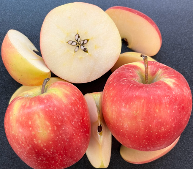 Sunflare promete mayor eficiencia y retornos en el negocio de manzanas premium 2 Sunflare promete mayor eficiencia y retornos en el negocio de manzanas premium