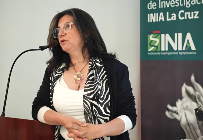 Chile busca destrabar el Systems Approach para uva de mesa y mejorar acceso a Estados Unidos