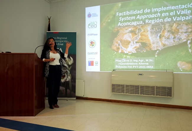 Chile busca destrabar el Systems Approach para uva de mesa y mejorar acceso a Estados Unidos