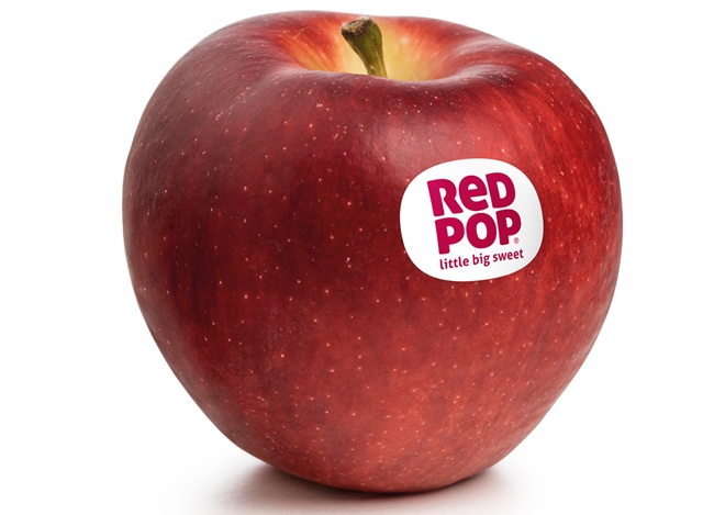 Vietnam suma una nueva propuesta de manzana snack 4 Mercado asiático suma nueva propuesta de manzanas snack con ingreso a Vietnam