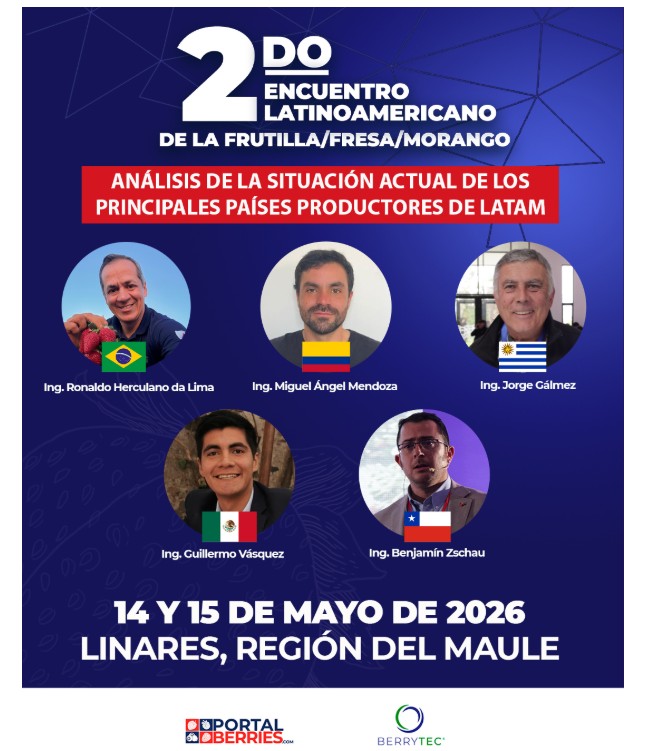 Especialistas de cinco países participarán en el Segundo Encuentro Latinoamericano de la Frutilla en Chile