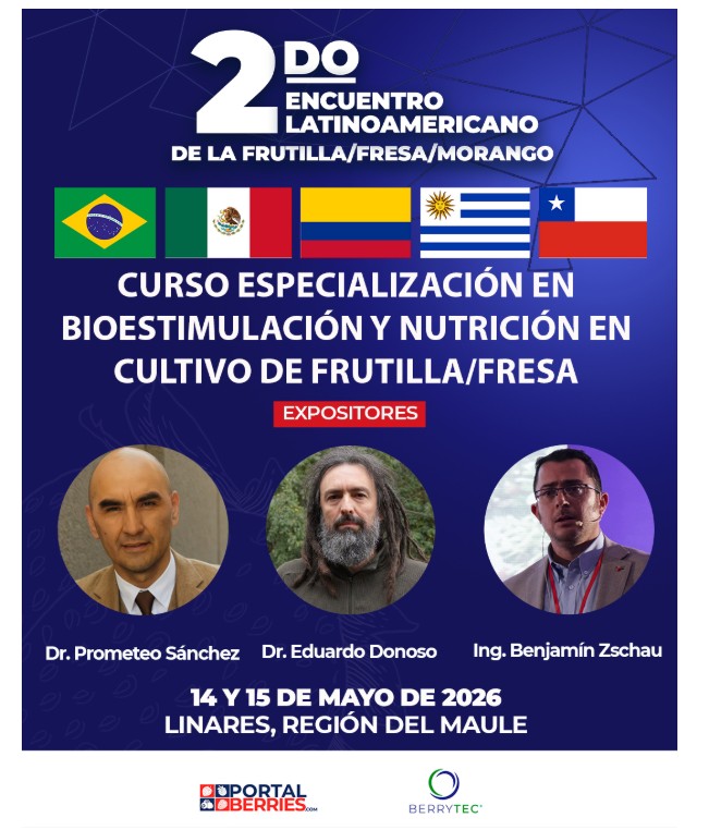 Especialistas de cinco países participarán en el Segundo Encuentro Latinoamericano de la Frutilla en Chile