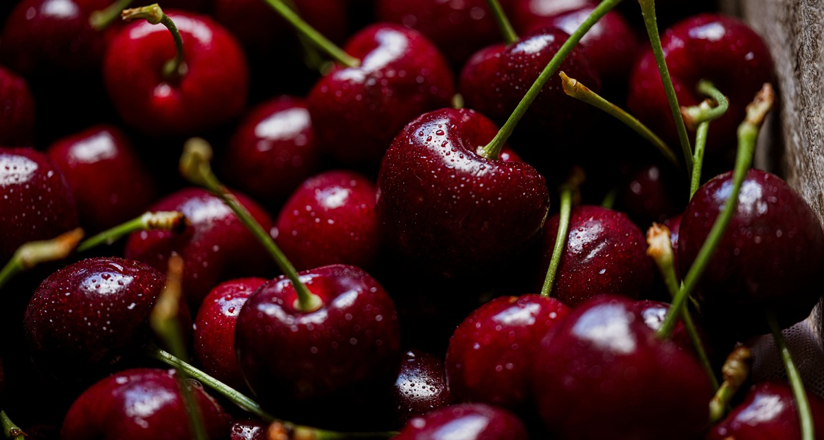 Tasmania registra sólida temporada de cerezas: más volumen, mejores precios y foco en Asia