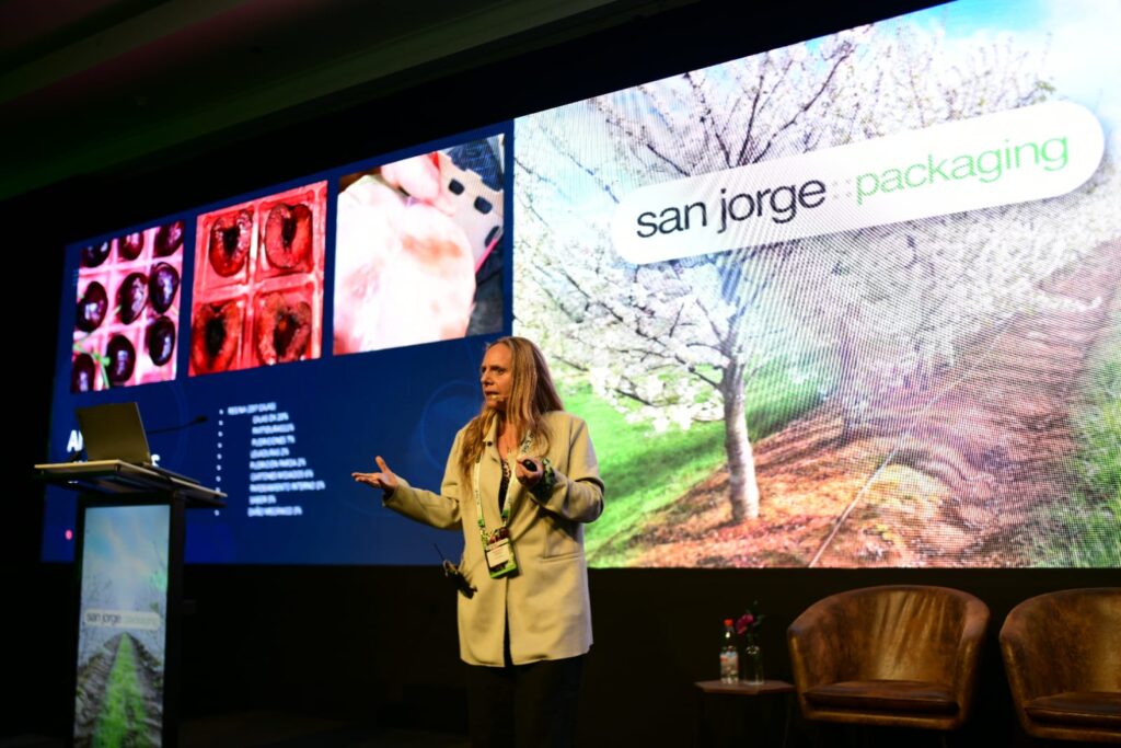 Industria de la cereza chilena: lecciones desde Guangzhou tras una temporada crítica