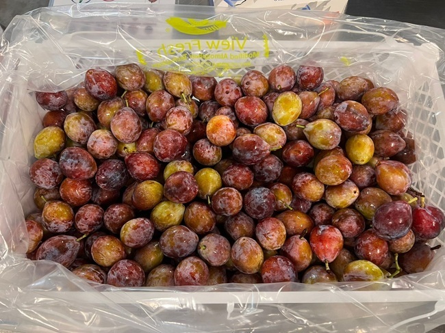 Chile consolida su industria de ciruelas con estrategia dual y foco en calidad 4 Ciruelas chilenas de Ranco Cherry