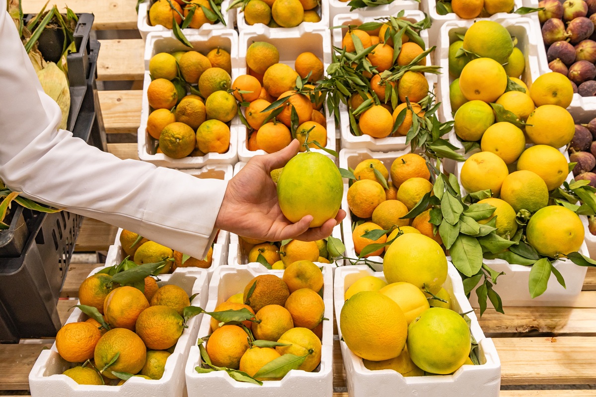 Mercado de fruta fresca en Arabia Saudita crece y abre oportunidades para exportadores