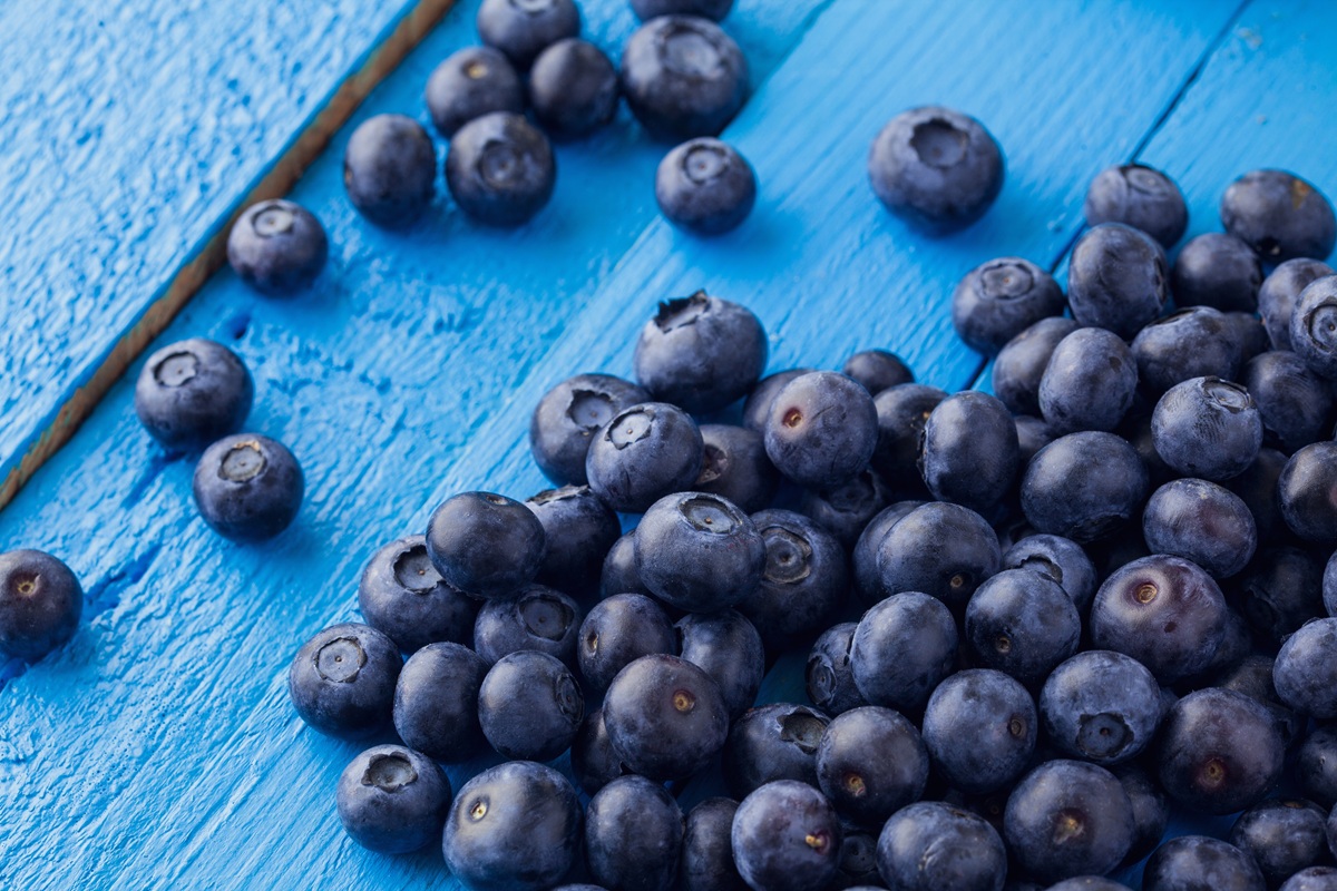 Nueva Zelanda abre consulta pública sobre requisitos de importación de arándanos frescos 2 Nueva Zelanda abre consulta pública sobre requisitos de importación de arándanos frescos