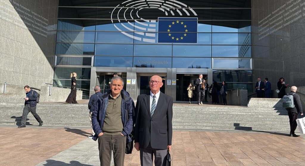 Informe advierte sustitución de cítricos europeos por importaciones en la última década