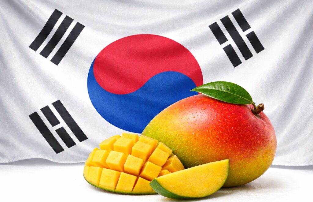El mango se expande en Corea del Sur con una red global de distribución e importación 
