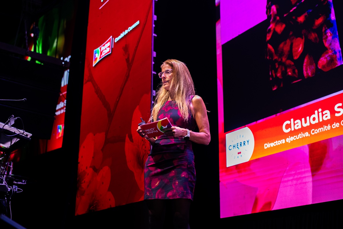 Mercado chino más exigente obliga a la industria de la cereza chilena a ajustar su estrategia