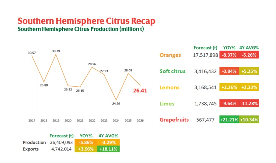 Producción de cítricos del hemisferio sur caería 5,86% en 2026, mientras exportaciones seguirían al alza