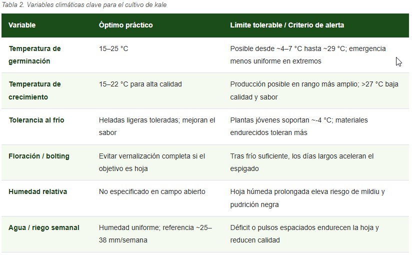 cultivo de kale
