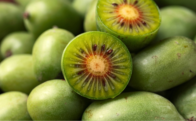 El kiwiberry menos conocido que tendría el potencial para prevenir el desarrollo temprano del cáncer