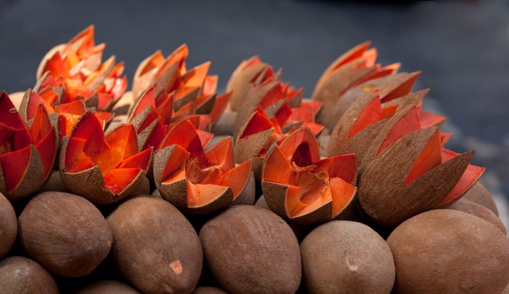 El exótico mamey de Yucatán conquista Reino Unido