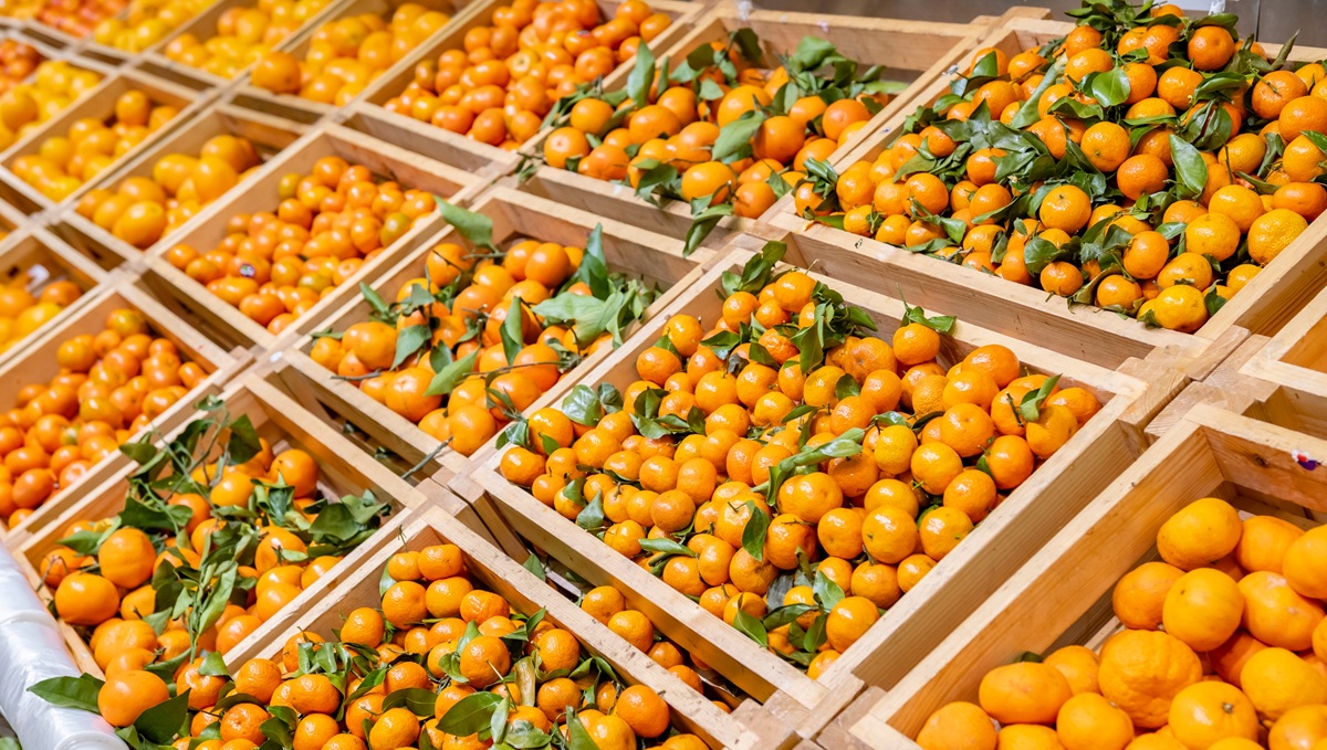 Campaña “So close, so good” de Intercitrus buscará impulsar consumo de naranjas y mandarinas españolas