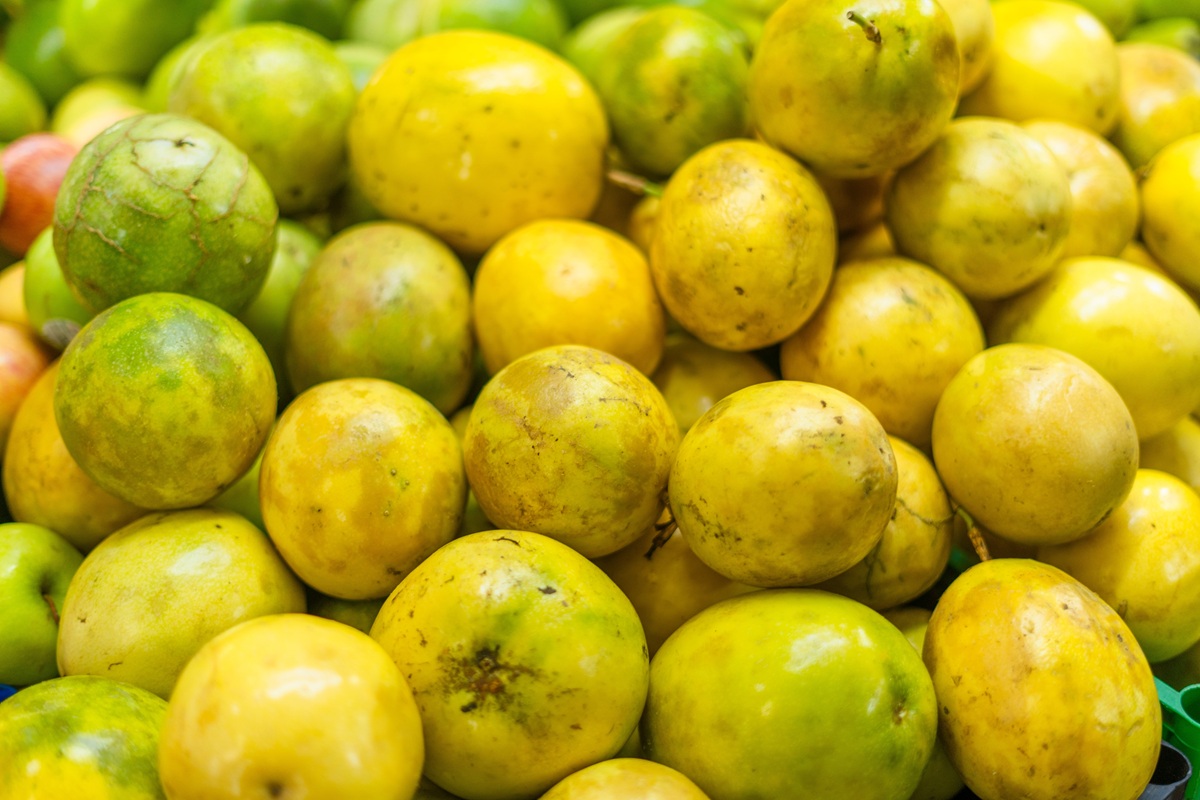 Maracuyá peruana en crecimiento y con potencial de desarrollo 4 Maracuyá peruana en crecimiento y con potencial de desarrollo