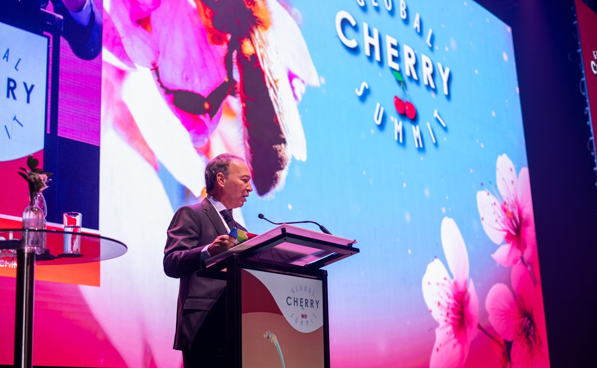 Mercado chino más exigente obliga a la industria de la cereza chilena a ajustar su estrategia