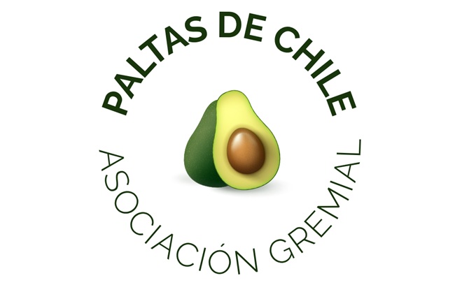 Paltas de Chile: el nuevo nombre que busca consolidar la identidad, sostenibilidad y proyección global de la industria