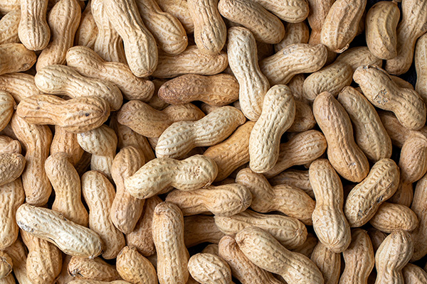 Sensores de microondas revolucionan la clasificación del maní con controles de calidad en tiempo real