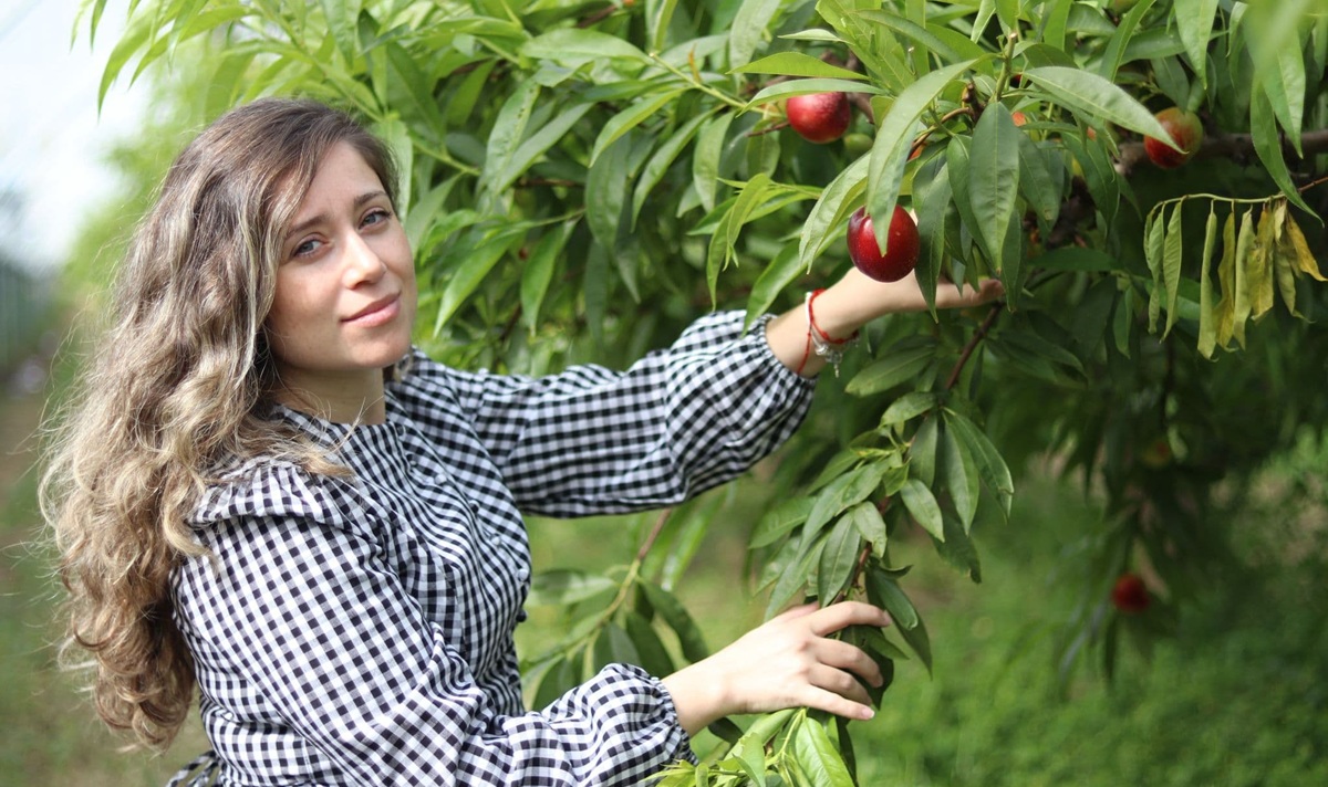 Plus Berries arranca la campaña de fruta de hueso con fruta de calidad 