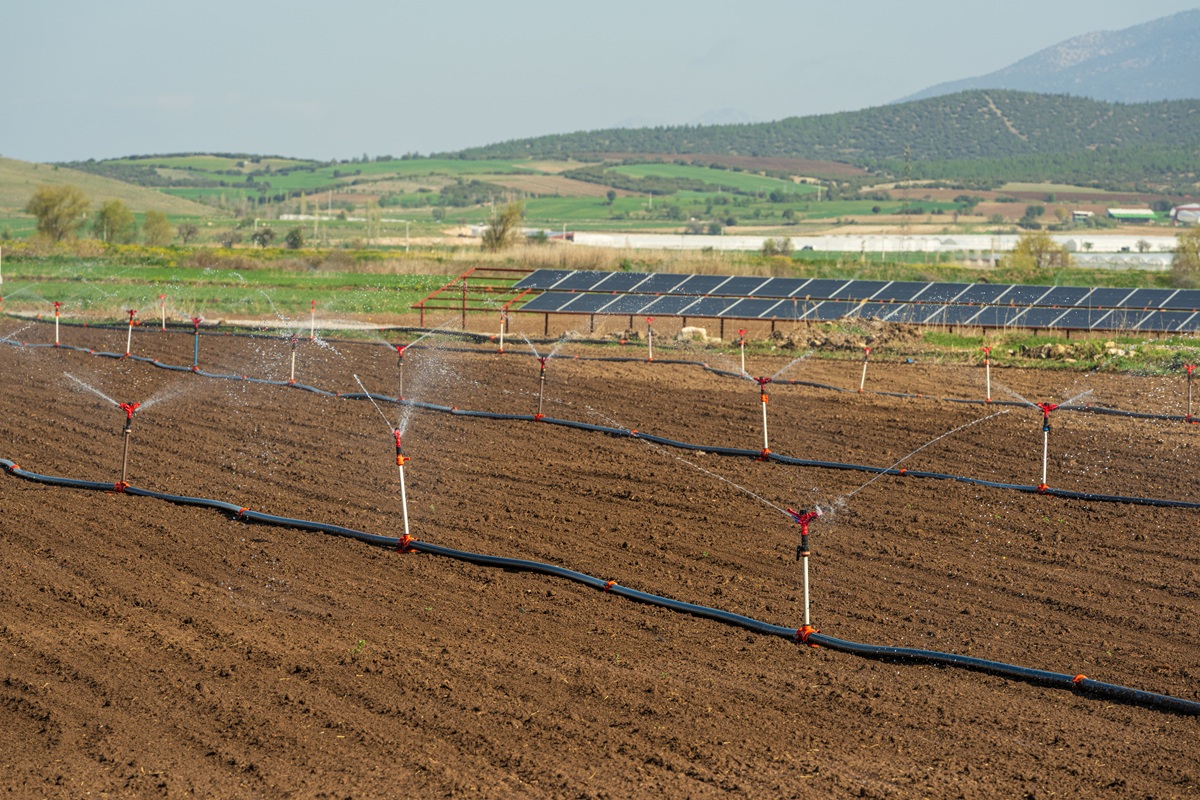 Por qué el riego en otoño define el rendimiento de la próxima temporada
