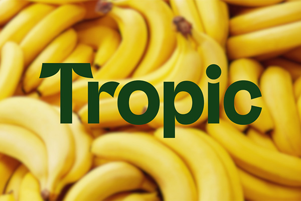 Innovadora variedad de banana obtiene aprobación en Japón y Brasil, y avanza en su expansión global