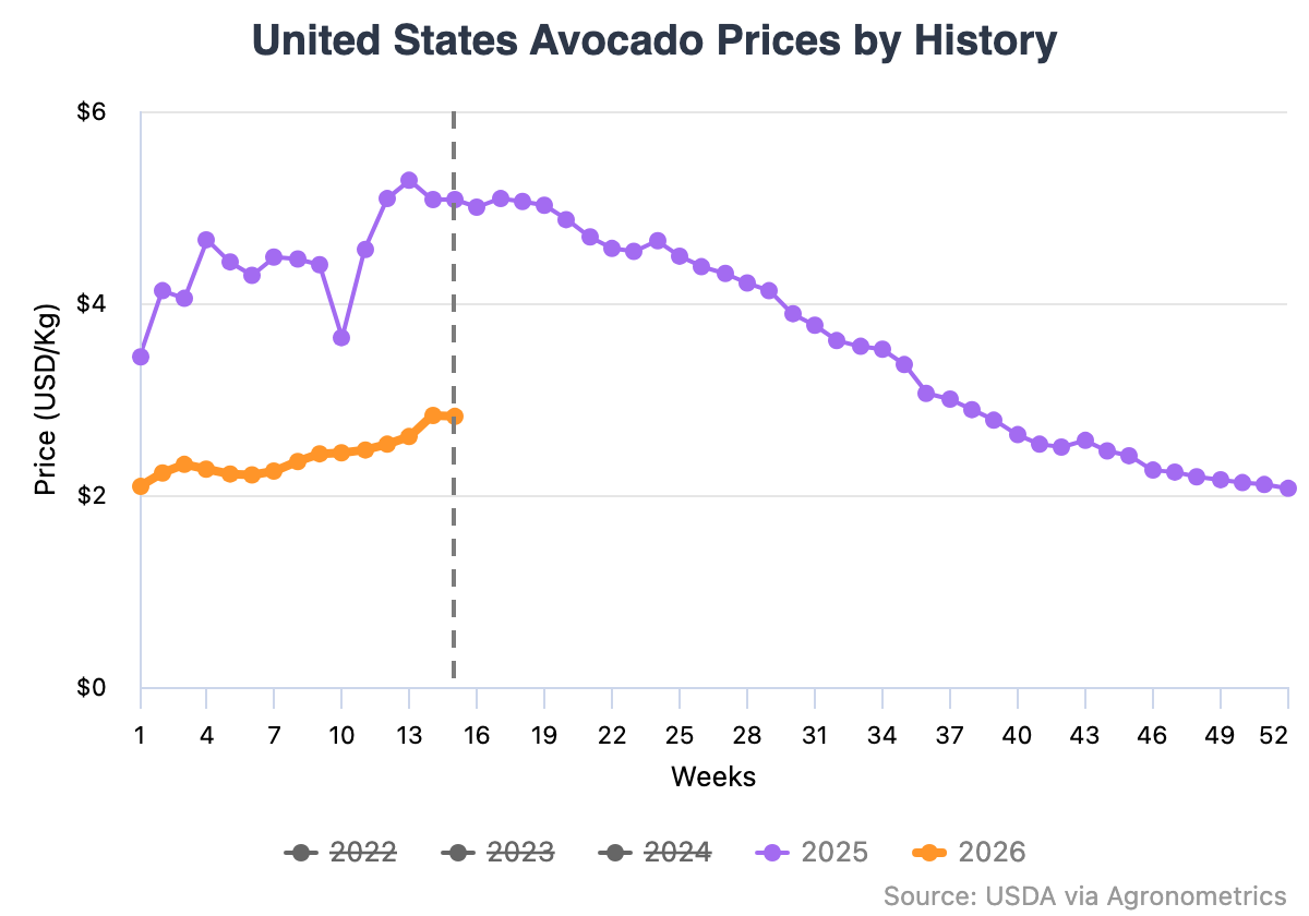 Más oferta presiona el precio del aguacate en Estados Unidos en 2026