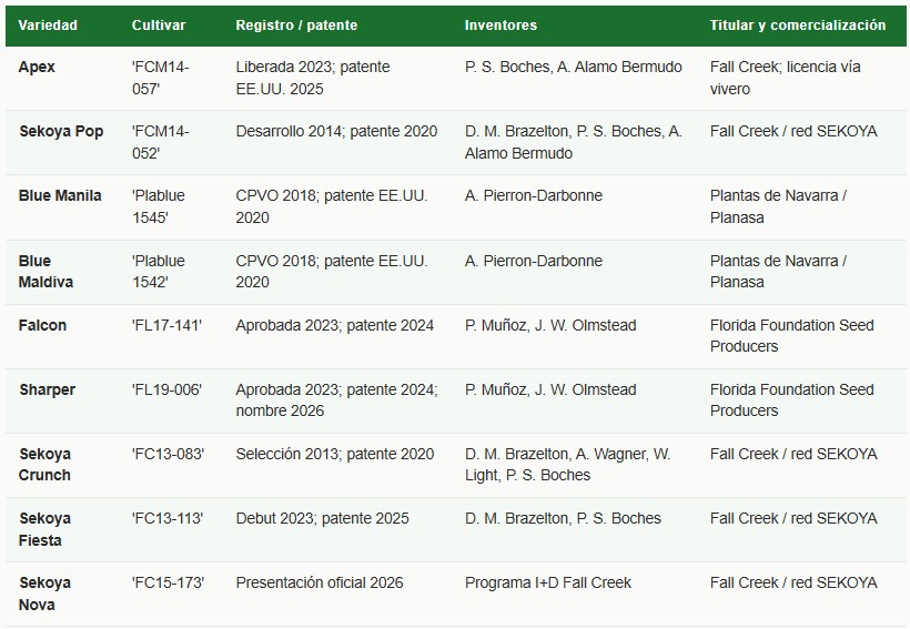 variedades de arándanos
