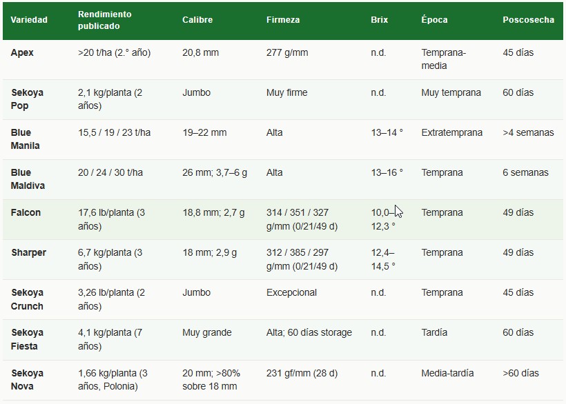 variedades de arándanos