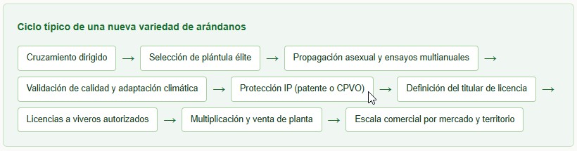 variedades de arándanos