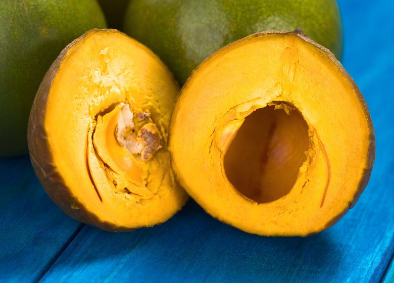 cultivo de lucuma